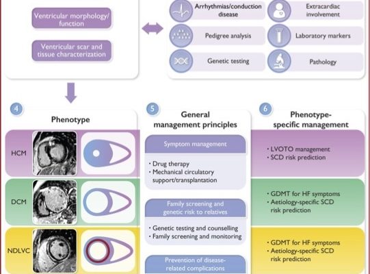 ESC Clinical Practice Guidelines