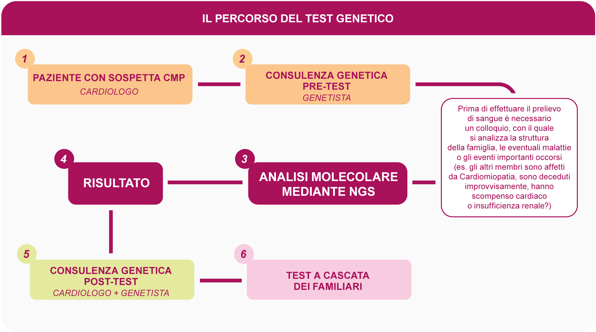 Schema analisi genetica
